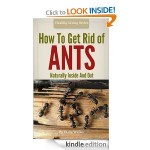 How To Get Rid 