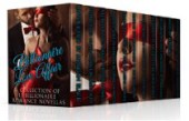 Billionaire Love Affair (Erotic