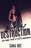 Path of Destruction 