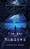 Bay of Shadows 