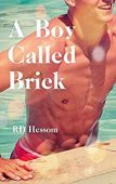 A Boy Called Brick RD Hessom