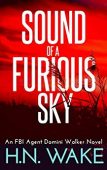 Sound of a Furious 