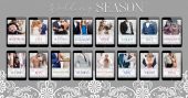 Wedding Season Series Multiple Authors