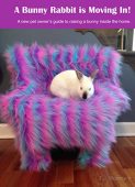 A Bunny Rabbit is J. Mummey