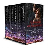 A Season of Suspense Traci  Wooden-Carlisle