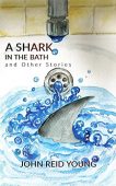 A Shark in the John Reid Young