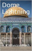 Dome Lightning Plucking Out A.Catherine Rush