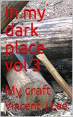 In my dark place Vincent J Lee
