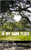 In my dark place Vincent J Lee