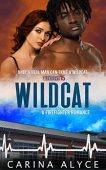 Wildcat A Steamy Firefighter Carina Alyce
