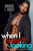 When I Wasn't Looking Annie J. Rose