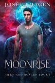 MOONRISE - A Contemporary Joseph Hagen