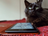 How to See Books 