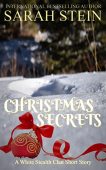 Christmas Secrets Sarah Stein