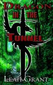 Dragon In Tunnel Leah  Grant