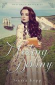 Meeting Destiny Sierra Kopp