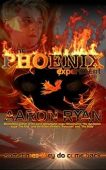 Phoenix Experiment Aaron Ryan
